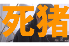 昭阳清债公司：专业债务解决方案提供商